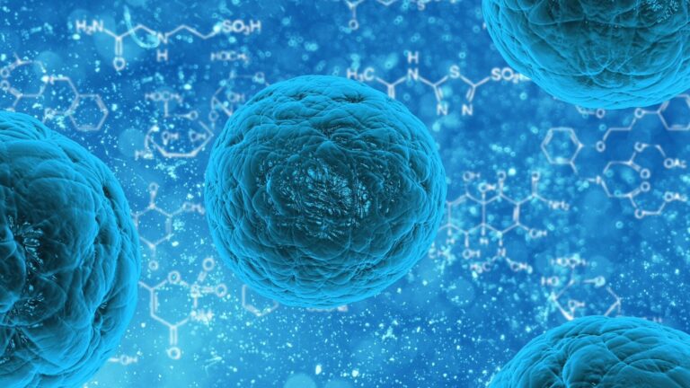 Newly discovered electrical activity within cells could change the way researchers think about biological chemistry