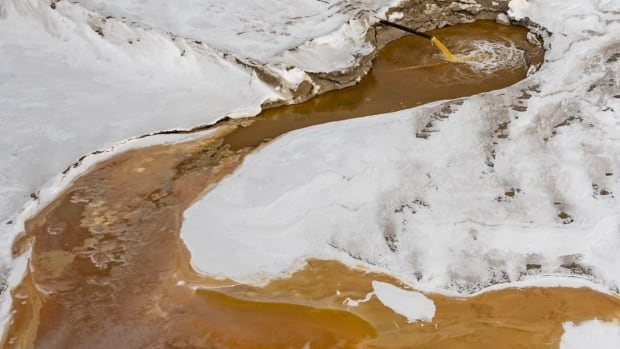 Federal, Alberta governments to study public notice process around oilsands tailings leak