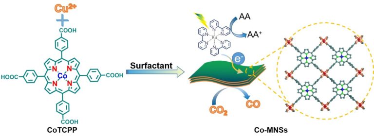 High-loading single cobalt atoms on ultrathin MOF nanosheets for efficient photocatalytic carbon dioxide reduction