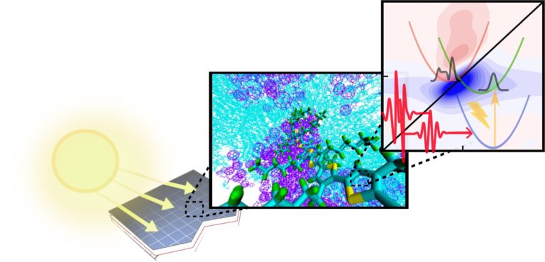 Modeling superfast processes in organic solar cell material