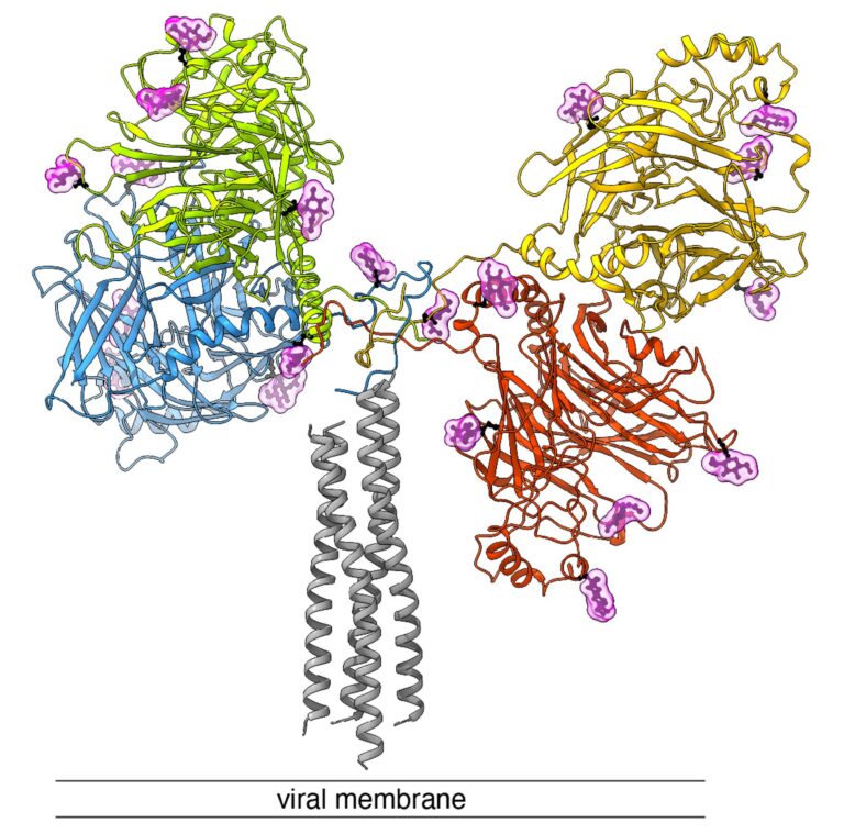 New targeting opportunities discovered against canine distemper virus