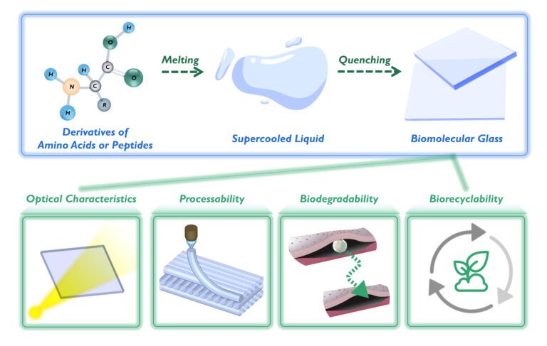 Researchers develop biodegradable, biorecyclable glass