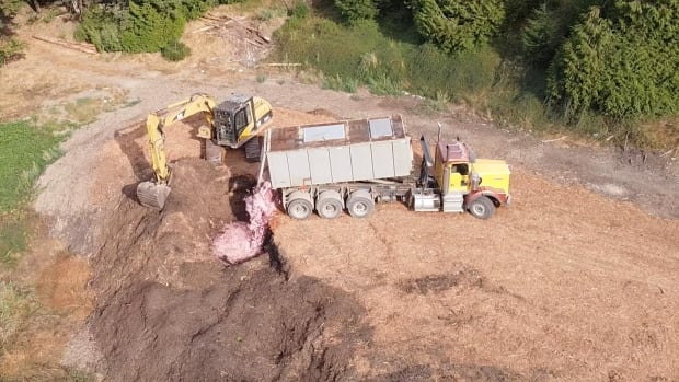 B.C. farmer fined $22K for illegal slaughter-waste dump moves it down the road