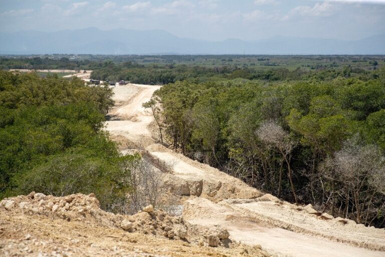 Dominican border wall threatens environment, mangroves