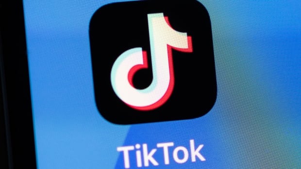 TikTok could face U.S. ban if Chinese owners don’t divest, company says