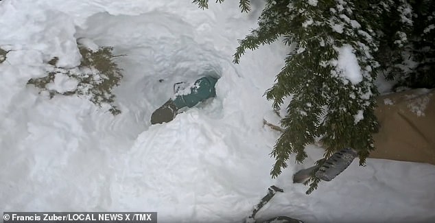 Zuber quickly removes his skis so that he can maneuver over to the tree well - the space around a tree under its branches that does not get the same amount of snow as the surrounding open space - and attempt to rescue the snowboarder