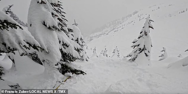 Francis Zuber was skiing at the Mt. Baker Ski Area in the northwest part of the state on March 3rd when he started to catch himself in deep powder