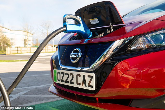 The Nissan Leaf (pictured) is advertised as reaching a range of 'up to 239 miles' but Which? research found a maximum range of just 187 miles