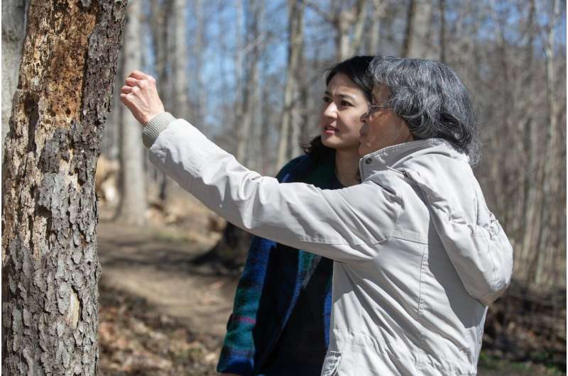 Can cities make room for woodpeckers?