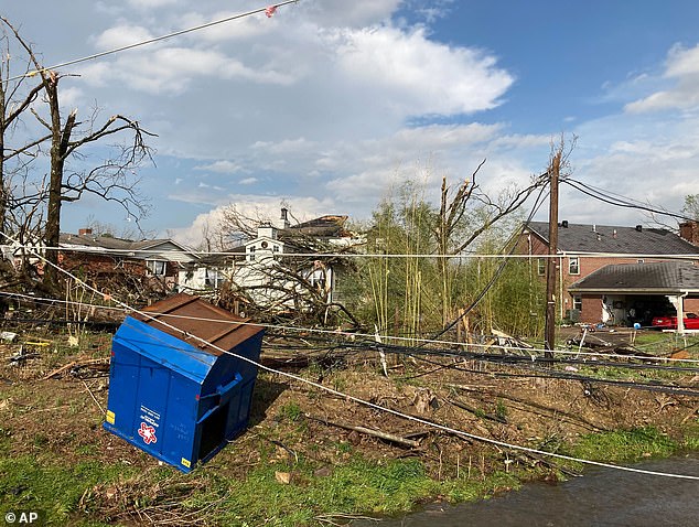 Powerlines and trees came down across the area as the storms left a trail of destruction