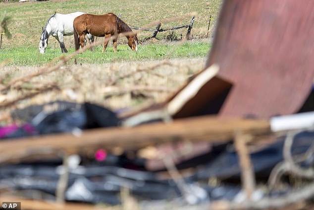 Tennessee, one of the hardest-hit states since the storms began Friday, initially had seven weather-related fatalities. But this rose to 12 after police reported three new deaths Sunday, saying two children and an adult were killed Saturday when a tree fell on a house in Memphis