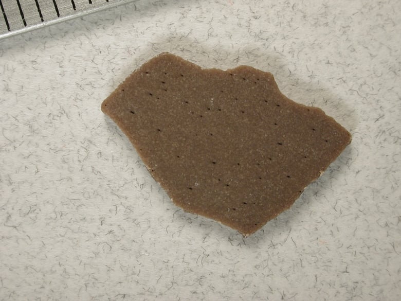 An irregularly, trapezoidal-shaped brown chip with black dots on it sits on a white background.