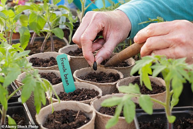 The RHS also said slugs and snails should be celebrated rather than hunted down and destroyed