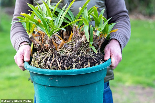 It is advised that pesticides and weedkillers should be used as little as possible