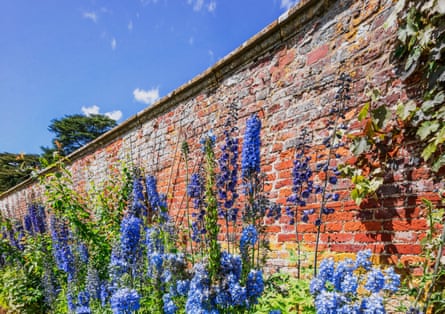 A lush green english garden on a warm sunny summer day