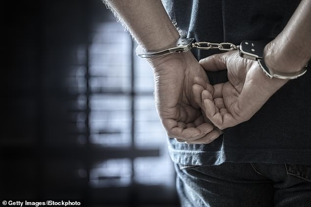 Gavin Fineff stole sums ranging between $60,000 to $745,000 from a dozen victims. Pictured is a stock image of a man in handcuffs