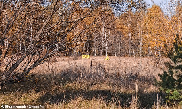 Ukrainians have told how the Russian men crossed from Belarus and dug defensive positions in the nearby 'Red Forest'