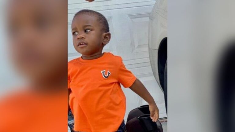 Missing 2-year-old Florida boy was found dead in alligator’s mouth, authorities say