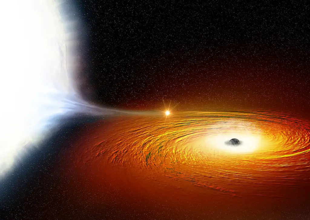 White Dwarf Star in Orbit With a Black Hole