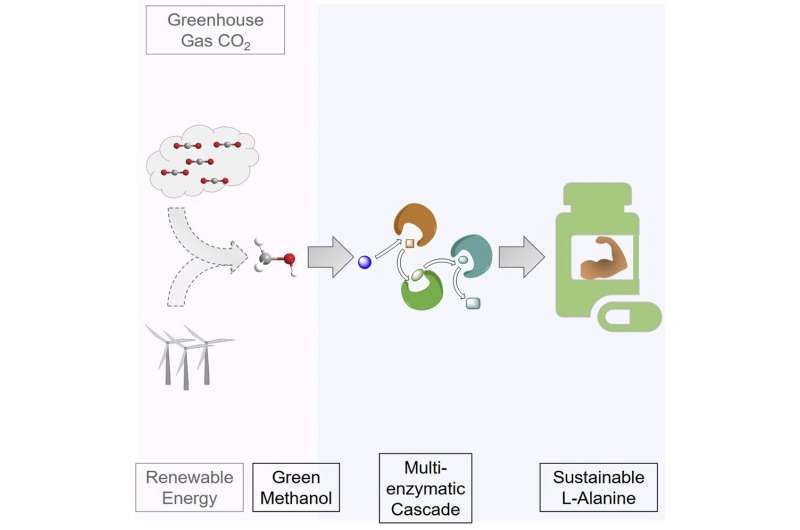 Artificial photosynthesis for environmentally friendly food production