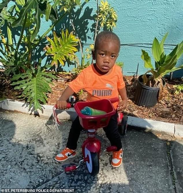 Body of missing two-year-old found in alligator’s mouth after his mother was found stabbed to death