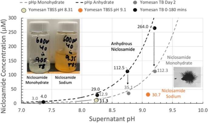 Extracting potent COVID-fighting pharmaceuticals for protective sprays