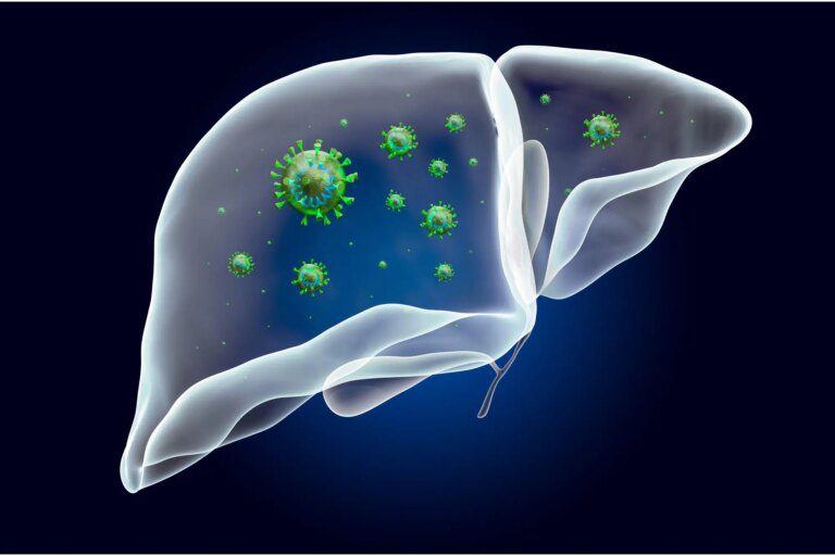 Common Childhood Viruses Linked to Severe Hepatitis Outbreak