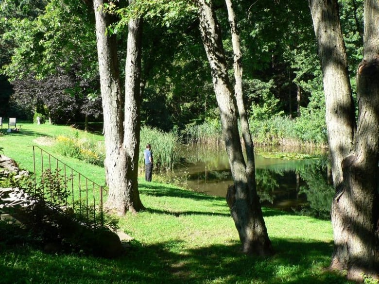 A man stands next to a pond and several trees. 