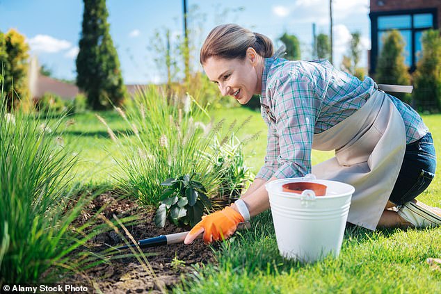 Leave weeds, slugs and snails in your garden alone and ‘let nature take its course’, experts say