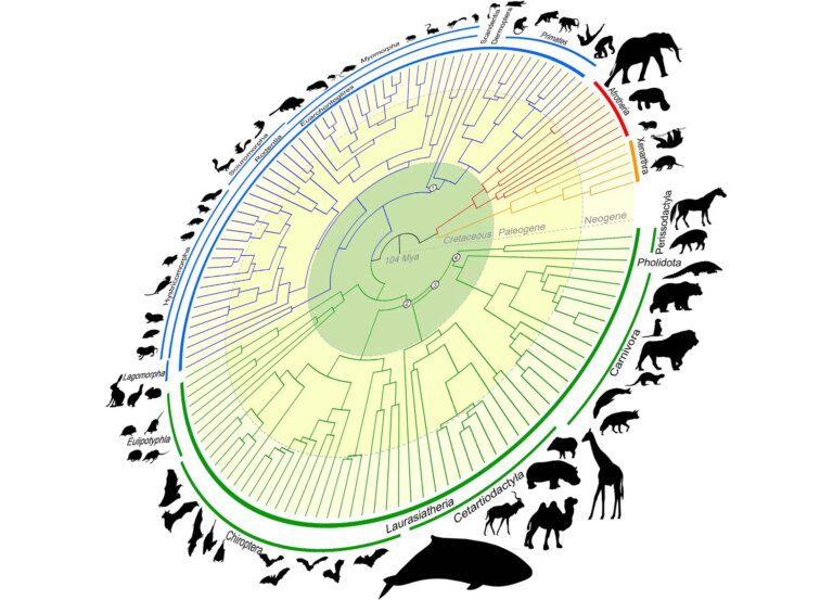 Genomic Time Machine Traces Back 100 Million Years of Evolution