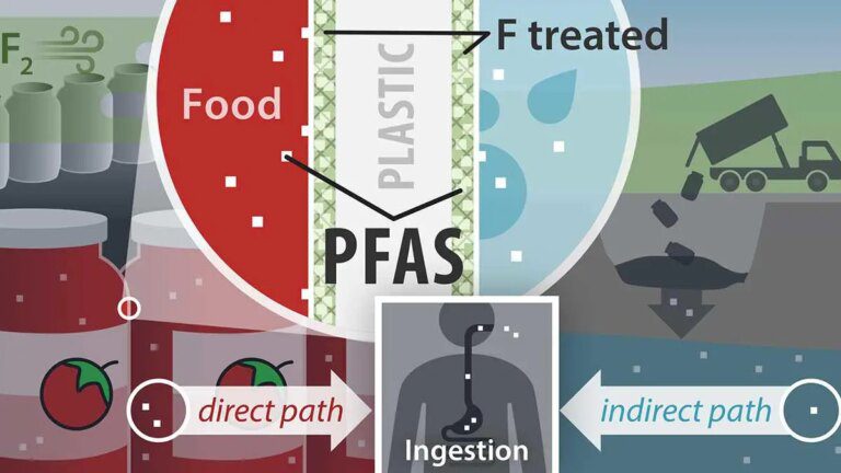 Plastic Containers Can Contain Toxic “Forever Chemicals” – And They Are Getting Into Food