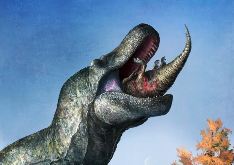 Tyrannosaurus Lipped Mouth Eating Edmontosaurus