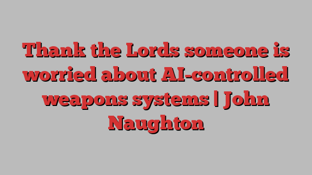 Thank the Lords someone is worried about AI-controlled weapons systems | John Naughton