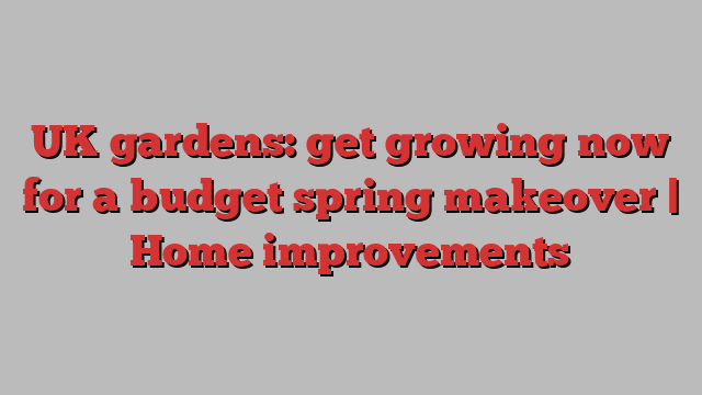 UK gardens: get growing now for a budget spring makeover | Home improvements