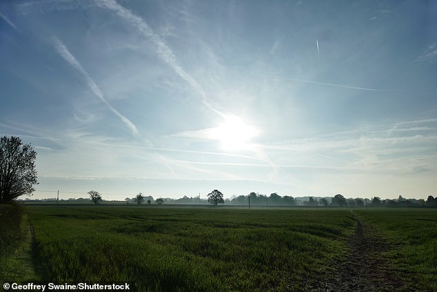 Warmth and sunshine are forecast for the three-day weekend as temperatures soar to 21C