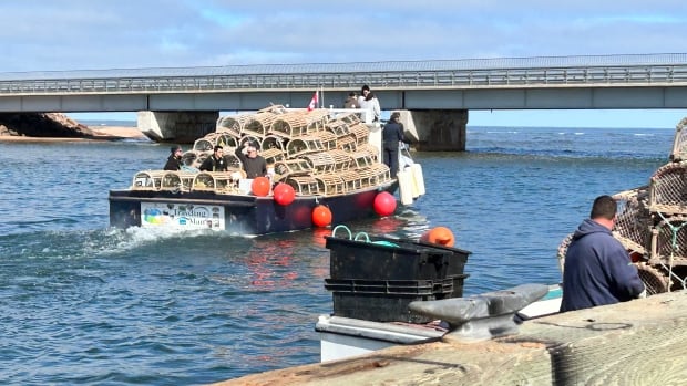 Lobster fishers set traps off Covehead, P.E.I., with Fiona still on their minds