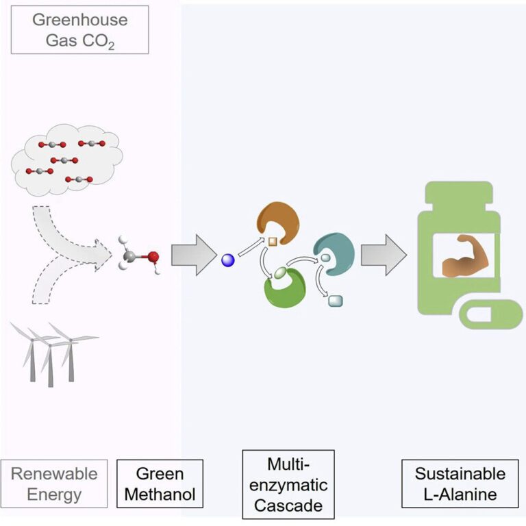 Artificial photosynthesis for environmentally friendly food production