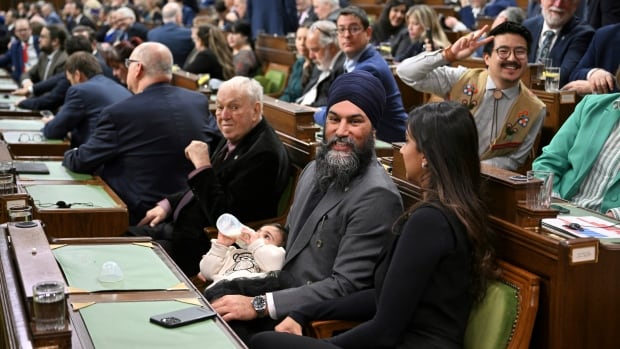 Dental care gives the NDP a reason to smile — no matter what happens in the next election