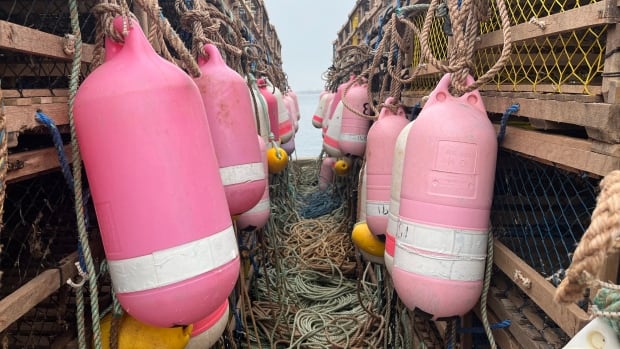 Lennox Island, DFO strike deal for 2023 moderate livelihood lobster fishery off P.E.I.