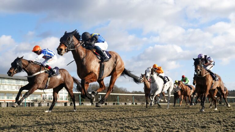 Monday tips: Five to watch at Lingfield and Newcastle from Sky Sports Racing’s Elliot David | Racing News