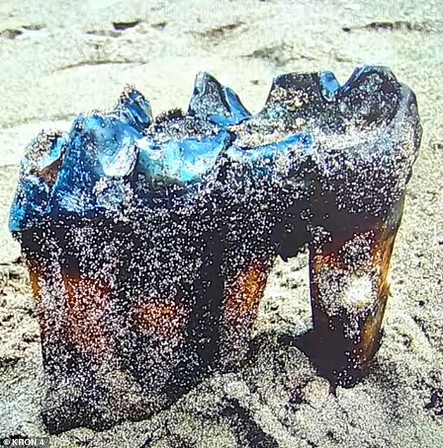 The photos show the 12-inch tooth laying in the sand with brown roots and a dark-black neck and crown area at the top