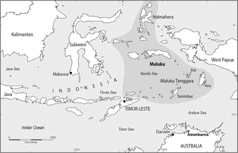 Archaeologists identify Moluccan boats that may have visited Australia from Indonesia on NT rock art drawings