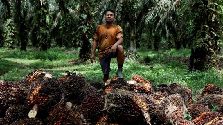 Indonesia and Malaysia freeze trade talks with EU over palm oil