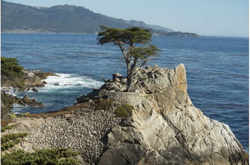 california coast