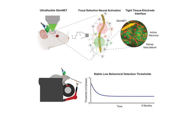 Flexible nanoelectrodes can provide fine-grained brain stimulation