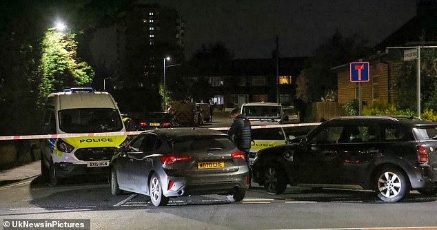 Man is stabbed to death in west London after a ‘fight broke out’