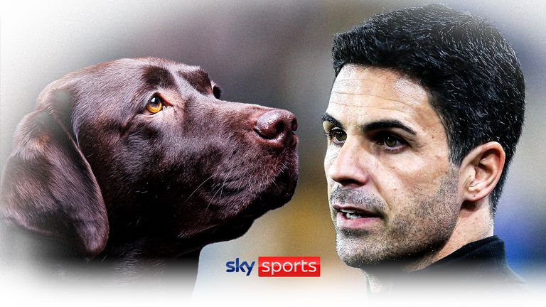 Mikel Arteta: Arsenal dog helps players connect | ‘We are a family here’ | Video | Watch TV Show