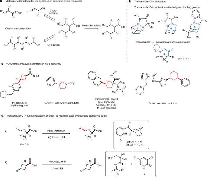 Crossing the ring: New method enables C-H activation across saturated carbocycles