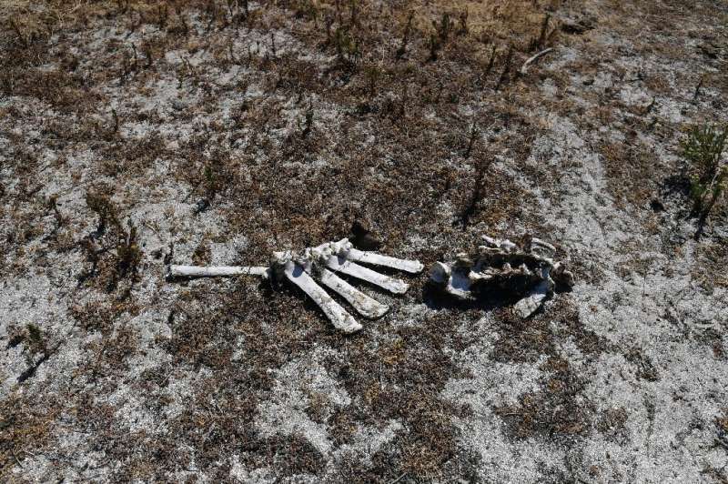 After a prolonged drought left scorched fields as shown here at Spain's southern Donana National Park the country is now sufferi