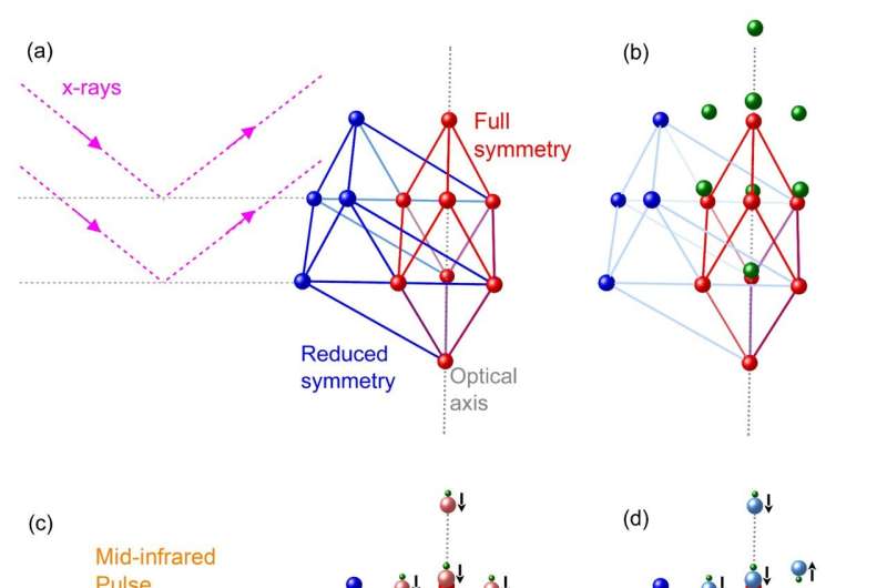 Symmetry breaking by ultrashort light pulses opens new quantum pathways for coherent phonons